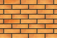 25. Retro brick curry