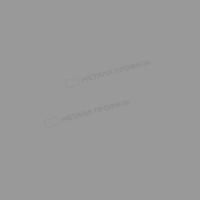 Софит перфор. Lбрус-XL-14х335 (ПЭ-01-9006-0.45)