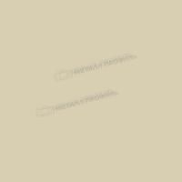 Планка ендовы нижняя 298х298х2000 (ПЭ-01-1035-0.45)